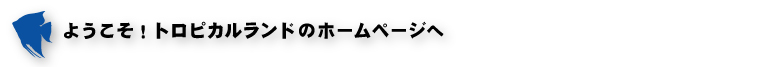 ようこそ！トロピカルランドのホームページへ
